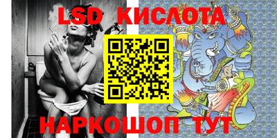 крисы Аргун